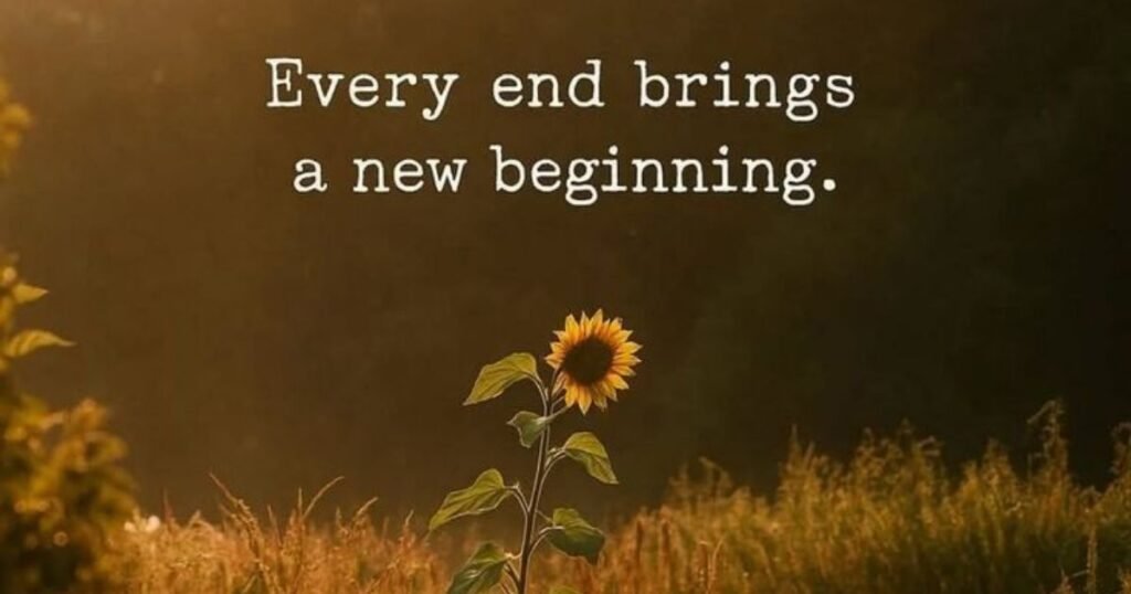 July 1st One Word, New Beginning