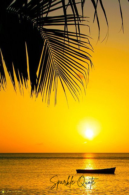 Positive August Month Quote