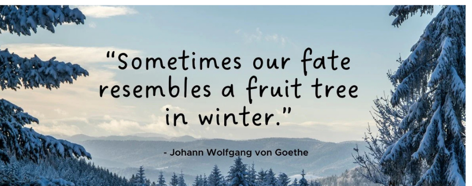 cozy winter quotes