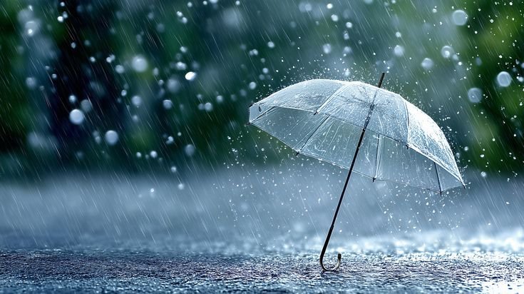 Rainy Day Quotes for Every Mood & Moment