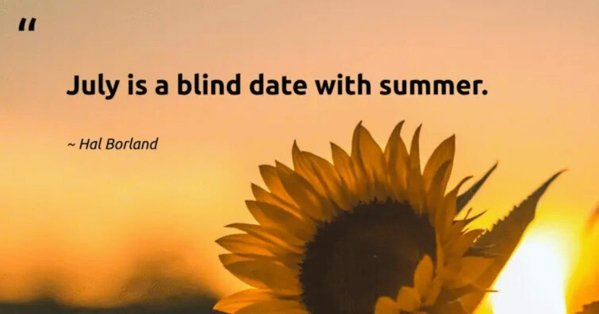 Witty & Heartwarming Quotes for Mid-Summer Inspiration