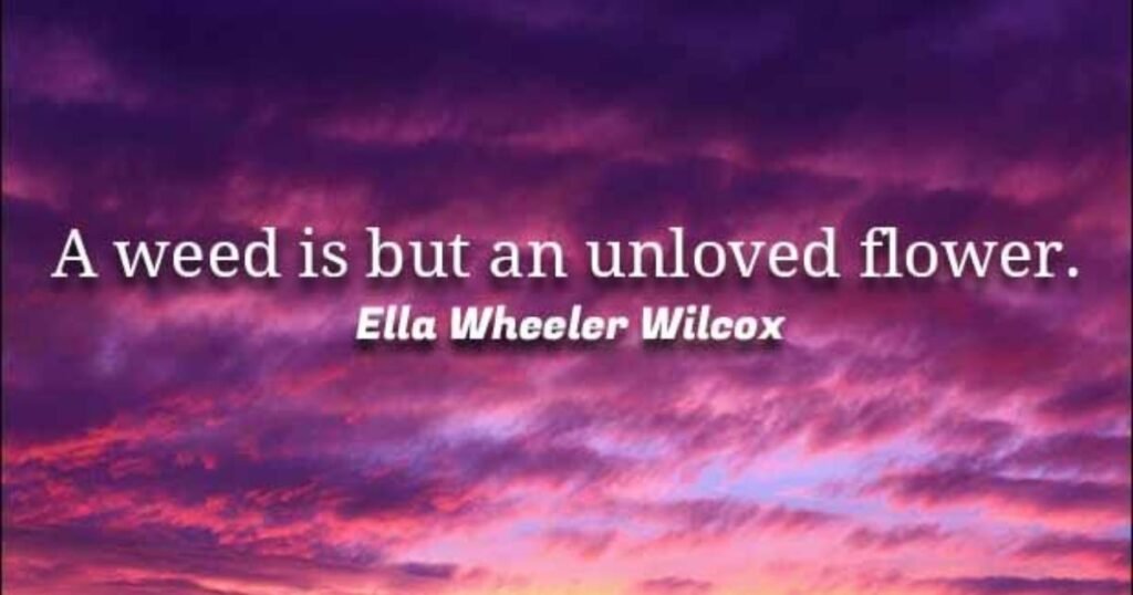 Flower quotes: A weed is but an unloved flower ~ Ella Wheeler Wilcox