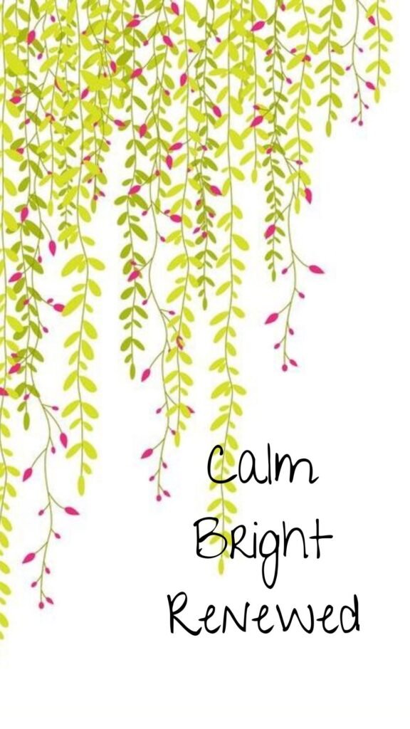 Calm, bright, renewed