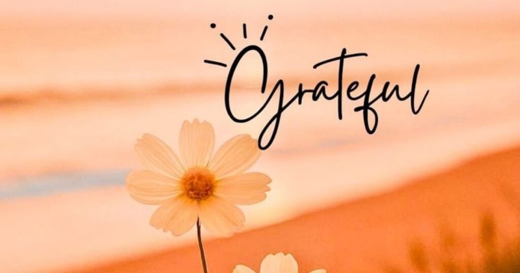 Happy Summer Wishes & Greetings
