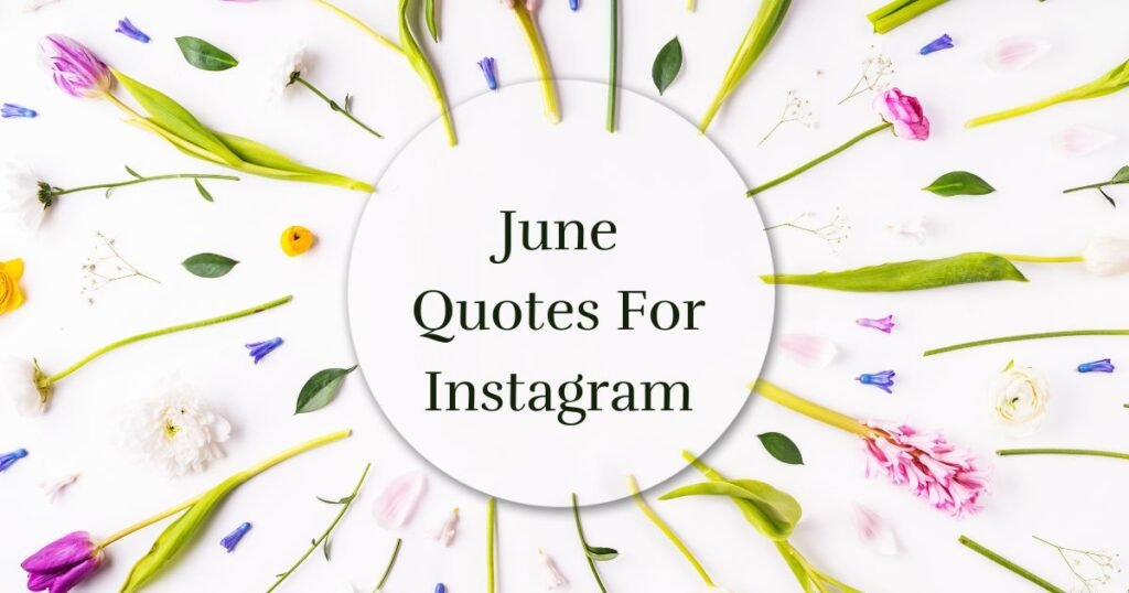 captivating june quotes