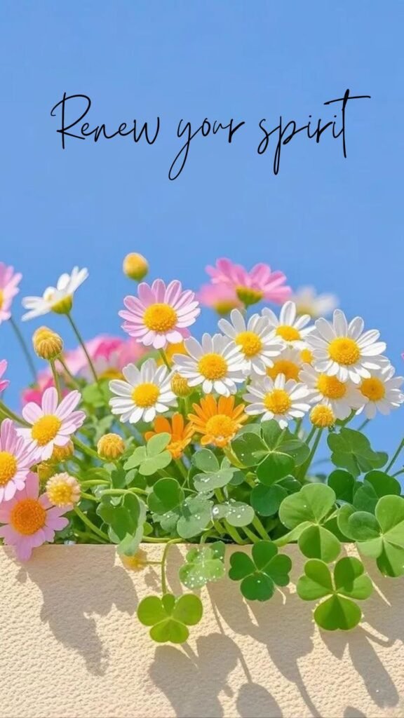 renew your spirit