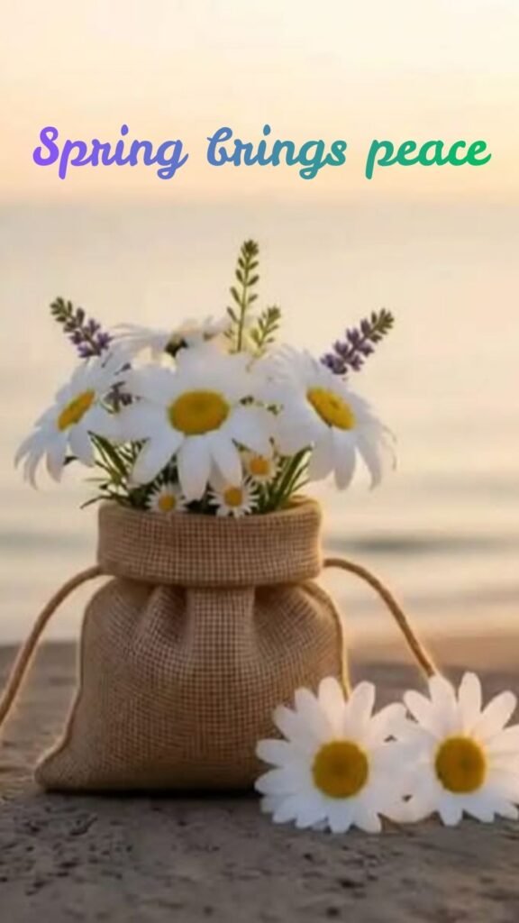 pring brings peace: spring wallpaper for iphone 16