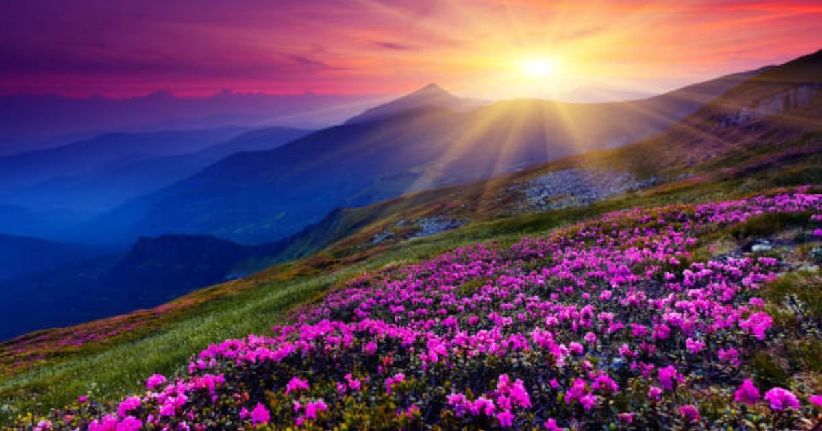 200+ Good Morning Sunrise Quotes to Brighten Your Day and Lift Your Spirit