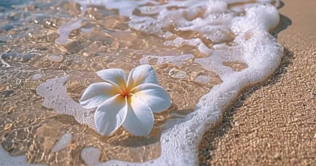 Trending Instagram slang Words and Their Meanings