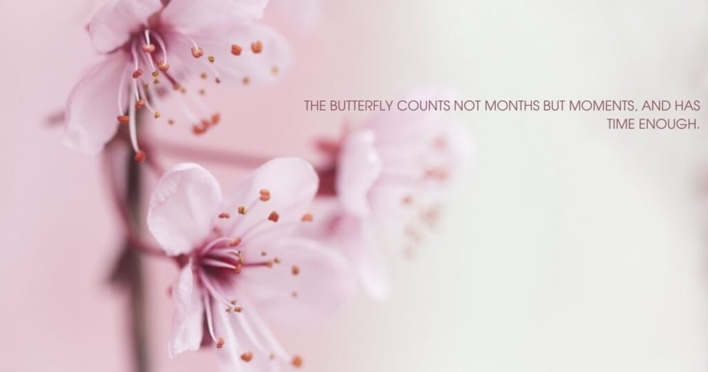 Beautiful Unforgettable Memories Quotes
