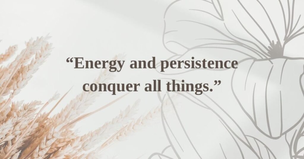 Energy and persistence conquer all things ~ Benjamin Franklin: resilience quotes