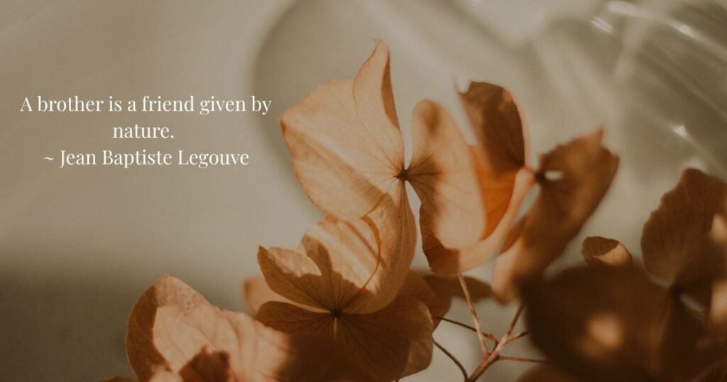 Heart Touching Quotes About Family