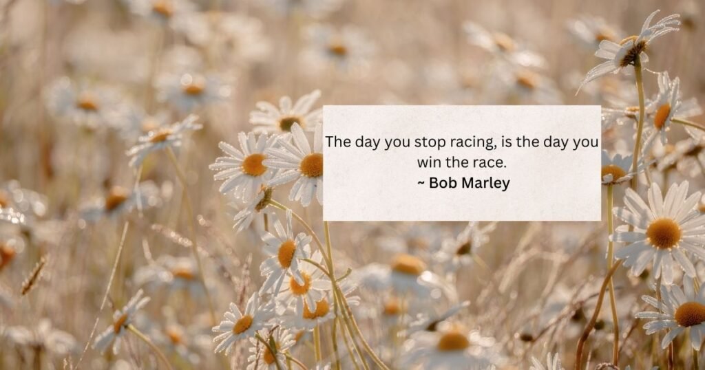 Heart Touching Quotes About Life
