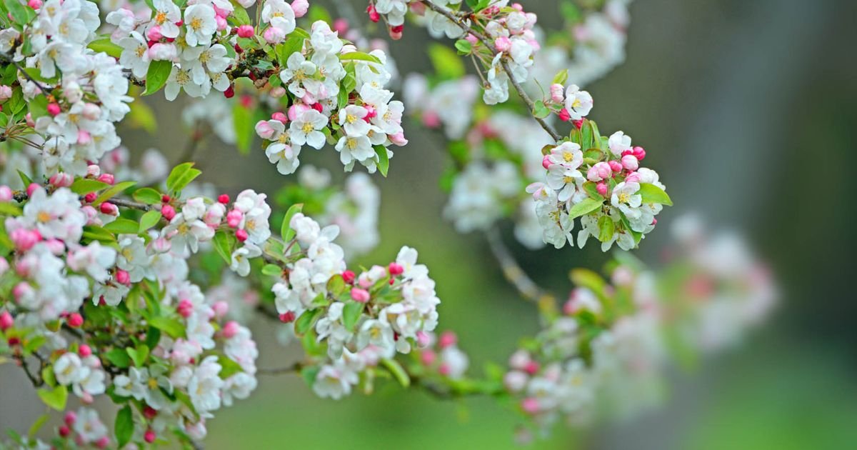 200+ Heartwarming Hello April Quotes to Welcome Spring