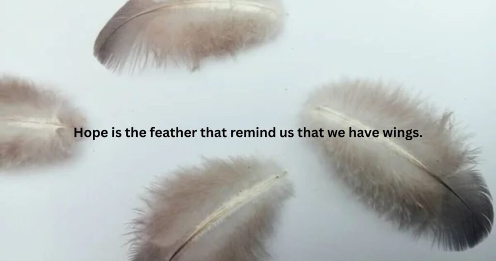Hope is the feather that remind us that we have wings.: Hope quotes