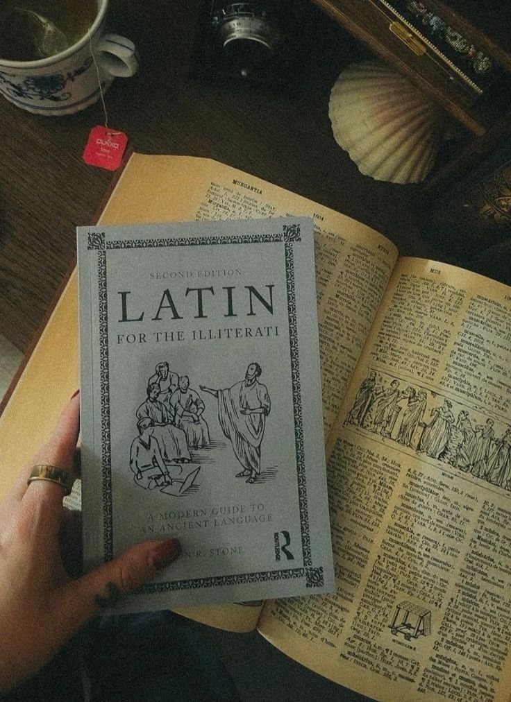 Aesthetic Latin Words and Beautiful Phrases You’ll Want to Remember