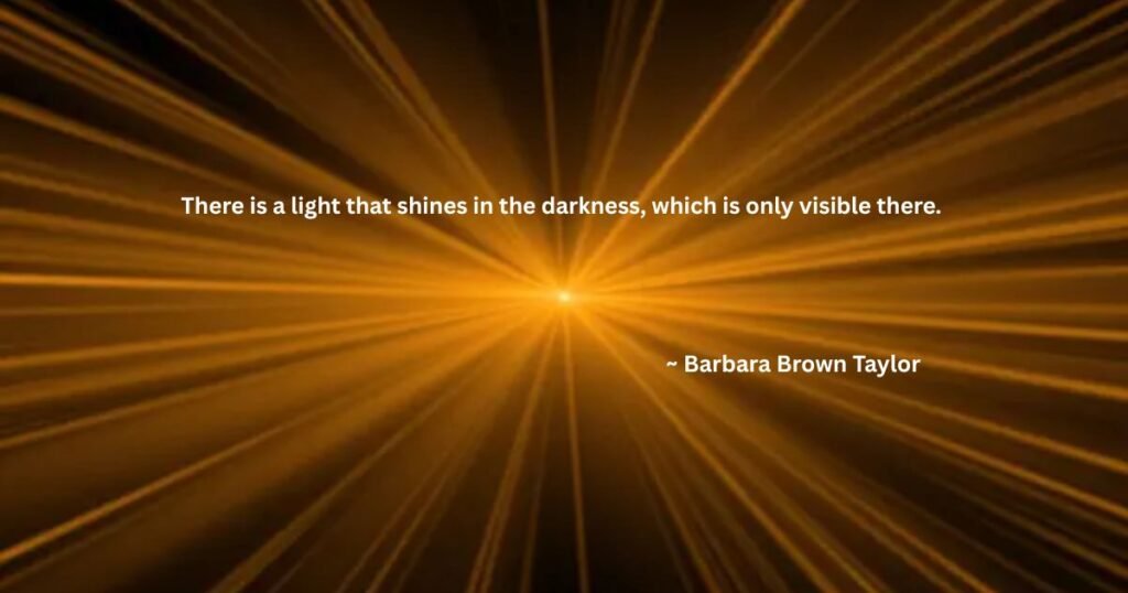 There is a light that shines in the darkness, which is only visible there. ~ Barbara Brown Taylor