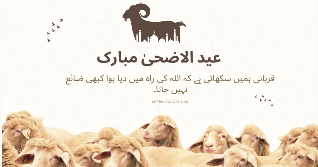 عید الاضحیٰ مبارک (1)