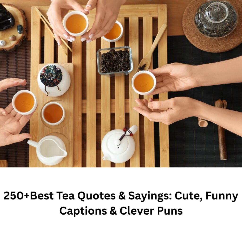 250+ Best Tea Quotes & Sayings: Cute, Funny Captions & Clever Puns