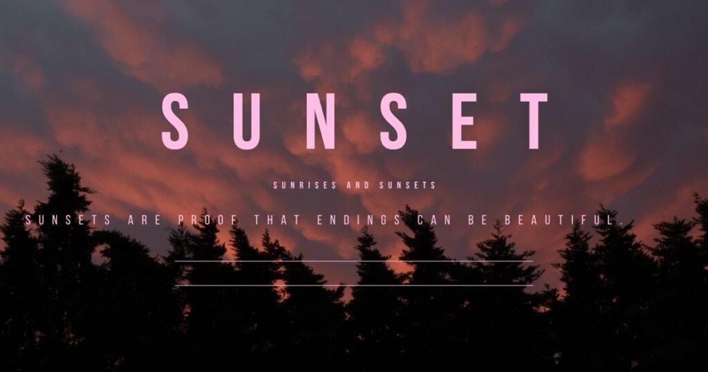 gratitude for everyday life