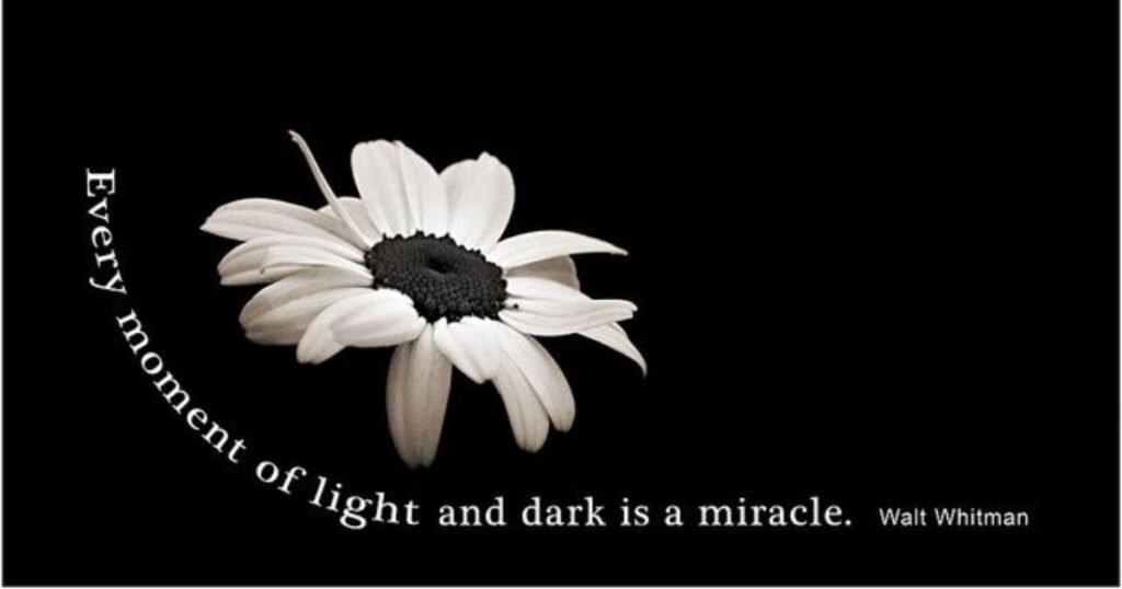 Winter solsticce quotes: Every moment of light and dark is a miracle ~ Walt Whitman