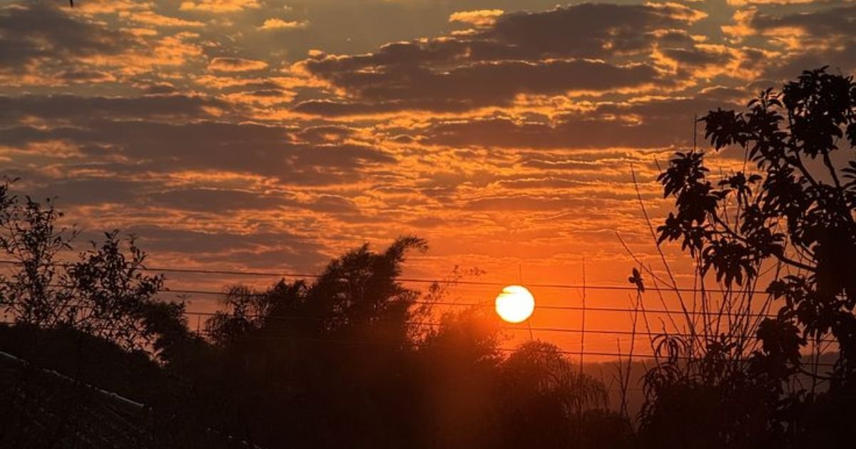 90 Good Morning Sunrise Quotes to Brighten Your Day and Lift Your Spirit