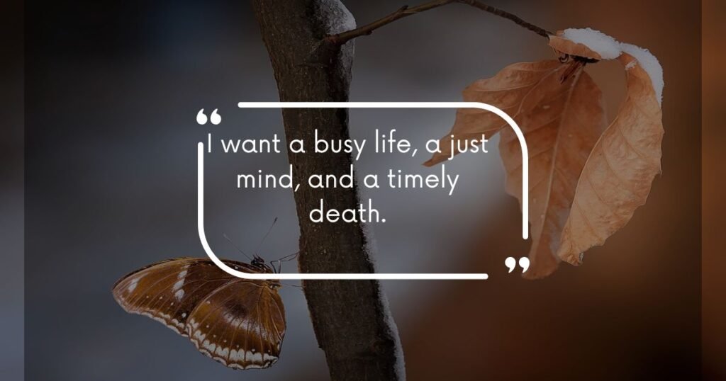 Zora Neale Hurston Quotes