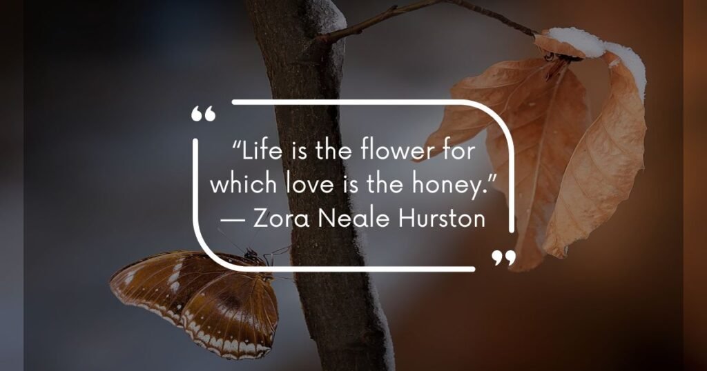 Zora Neale Hurston Quotes on Life 