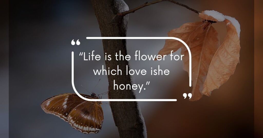 Zora Neale Hurston Quotes