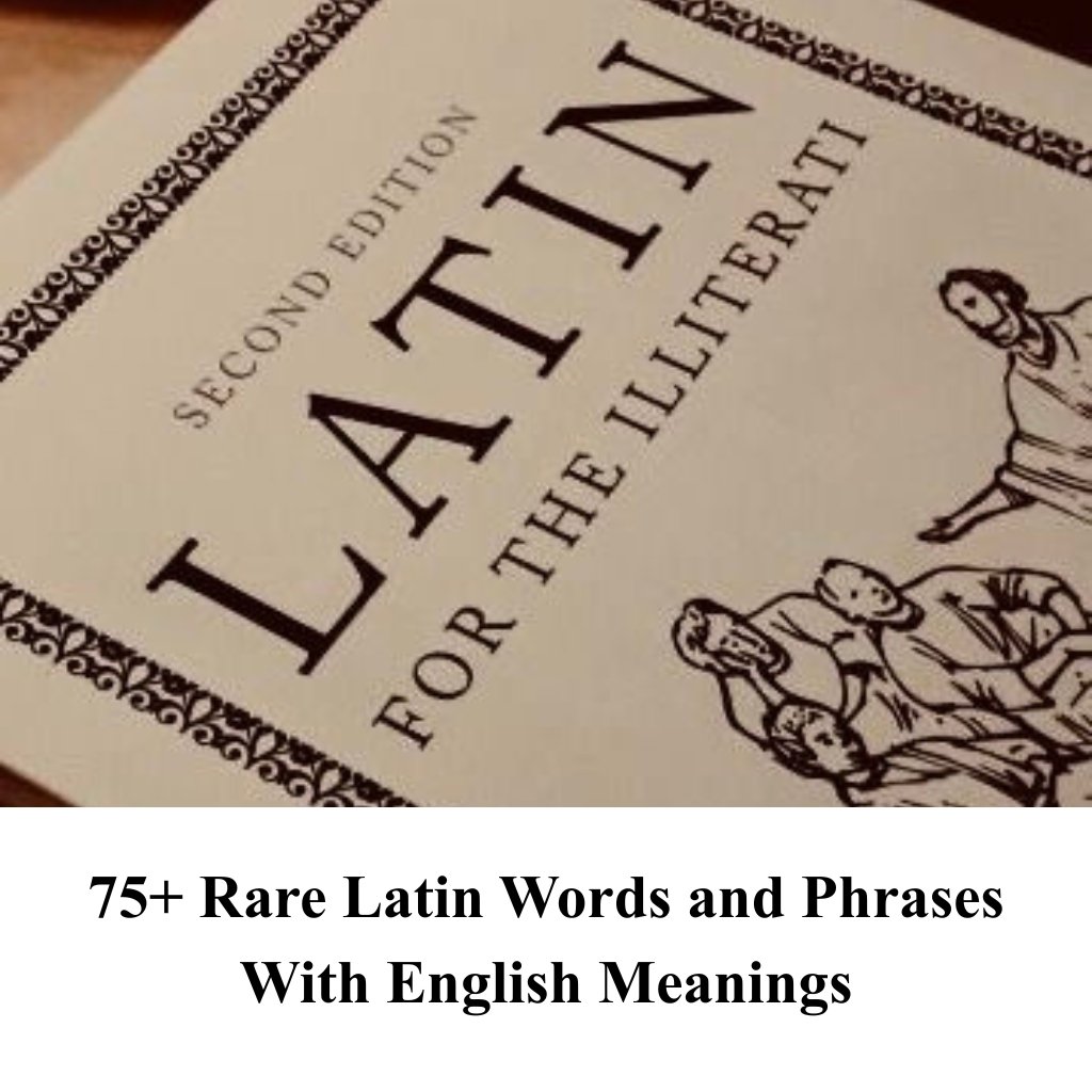 75+ Rare Latin Words and Phrases With English Meanings