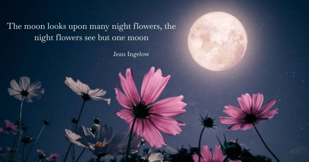 The moon looks upon many night flowers, the night flowers see but one moon. ~ Jean Ingelow