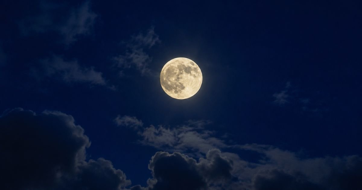 110 Beautiful Moon Quotes About Love, Life, and the Night Sky